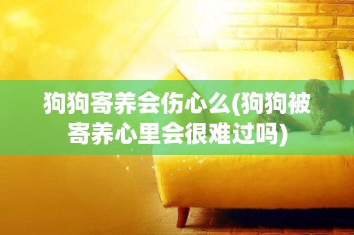 狗狗寄養會傷心么(狗狗被寄養心里會很難過嗎)