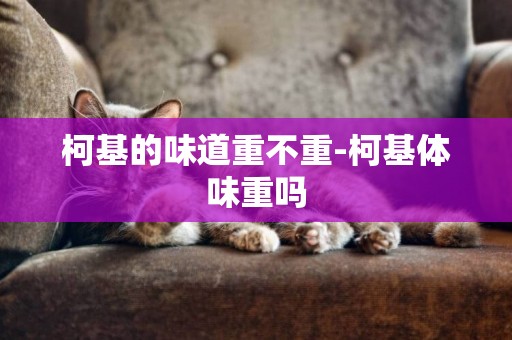 柯基的味道重不重-柯基體味重嗎