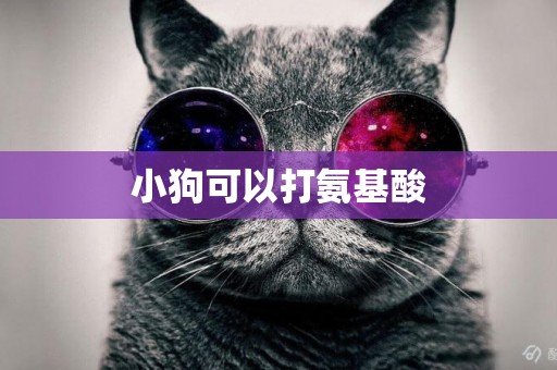 小狗可以打氨基酸