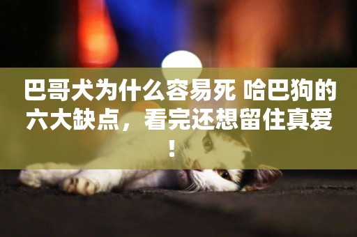 巴哥犬為什么容易死 哈巴狗的六大缺點，看完還想留住真愛！ 