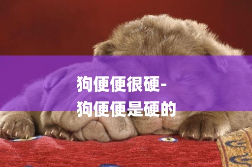 狗便便很硬-
狗便便是硬的