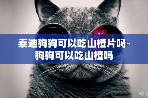 泰迪狗狗可以吃山楂片嗎-狗狗可以吃山楂嗎