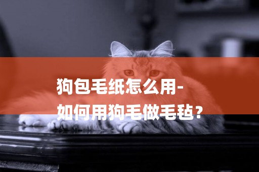 狗包毛紙怎么用-
如何用狗毛做毛氈？