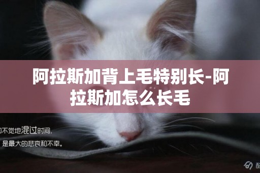 阿拉斯加背上毛特別長-阿拉斯加怎么長毛
