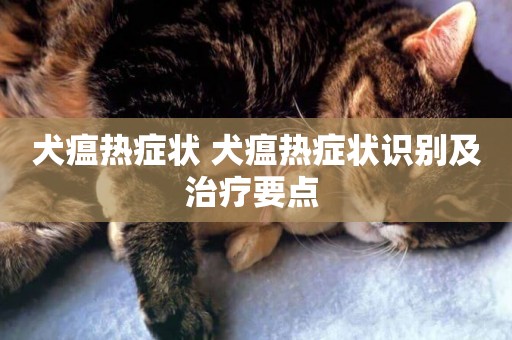 犬瘟熱癥狀 犬瘟熱癥狀識別及治療要點 
