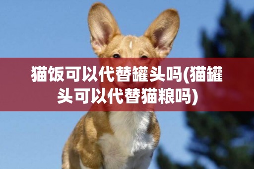 貓飯可以代替罐頭嗎(貓罐頭可以代替貓糧嗎)