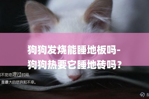 狗狗發燒能睡地板嗎-
狗狗熱要它睡地磚嗎？