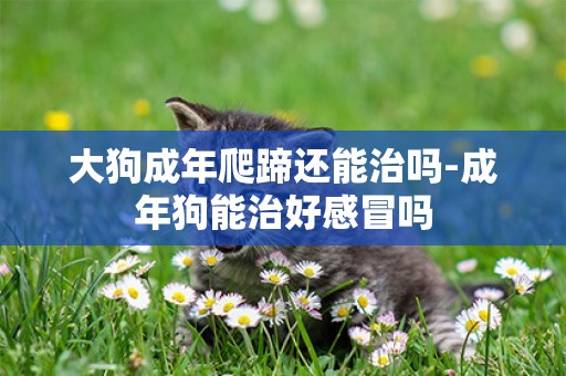 大狗成年爬蹄還能治嗎-成年狗能治好感冒嗎