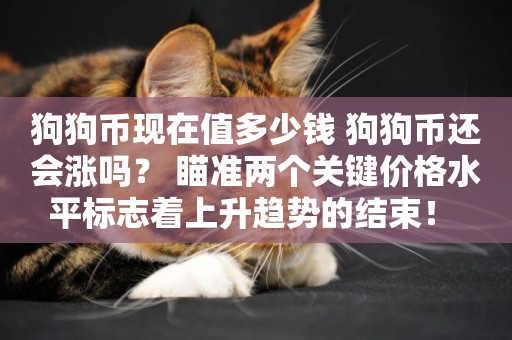 狗狗幣現在值多少錢 狗狗幣還會漲嗎？ 瞄準兩個關鍵價格水平標志著上升趨勢的結束！ 