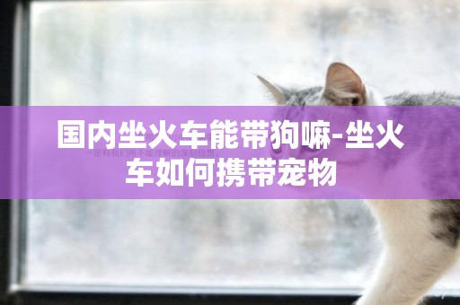 國內坐火車能帶狗嘛-坐火車如何攜帶寵物