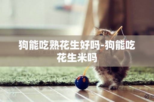 狗能吃熟花生好嗎-狗能吃花生米嗎