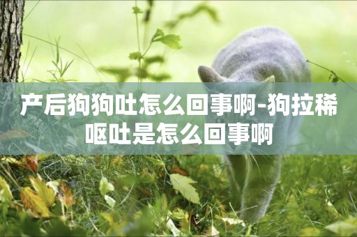產后狗狗吐怎么回事啊-狗拉稀嘔吐是怎么回事啊