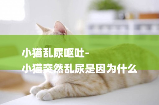 小貓亂尿嘔吐-
小貓突然亂尿是因為什么