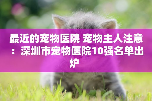最近的寵物醫院 寵物主人注意：深圳市寵物醫院10強名單出爐 
