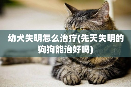 幼犬失明怎么治療(先天失明的狗狗能治好嗎)