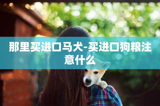那里買進口馬犬-買進口狗糧注意什么