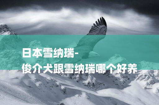 日本雪納瑞-
俊介犬跟雪納瑞哪個好養