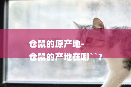 倉鼠的原產地-
倉鼠的產地在哪``?