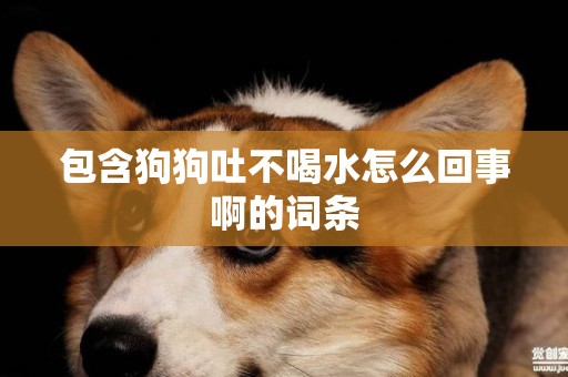 包含狗狗吐不喝水怎么回事啊的詞條