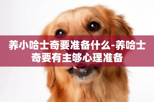 養小哈士奇要準備什么-養哈士奇要有主夠心理準備