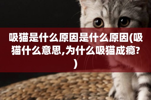 吸貓是什么原因是什么原因(吸貓什么意思,為什么吸貓成癮?)