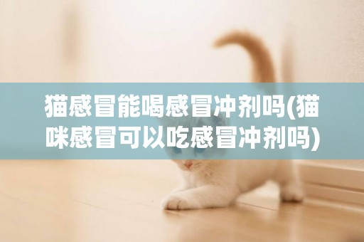 貓感冒能喝感冒沖劑嗎(貓咪感冒可以吃感冒沖劑嗎)