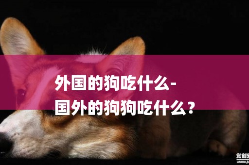 外國的狗吃什么-
國外的狗狗吃什么？