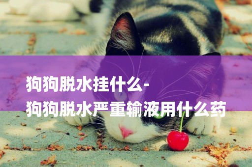 狗狗脫水掛什么-
狗狗脫水嚴重輸液用什么藥