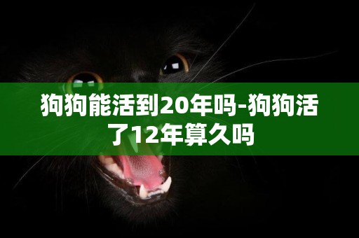 狗狗能活到20年嗎-狗狗活了12年算久嗎