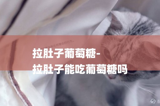 拉肚子葡萄糖-
拉肚子能吃葡萄糖嗎