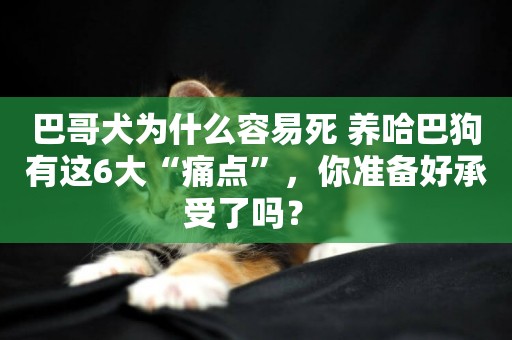 巴哥犬為什么容易死 養哈巴狗有這6大“痛點”，你準備好承受了嗎？ 