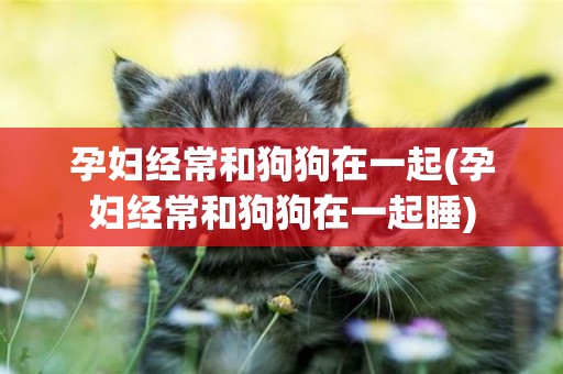 孕婦經常和狗狗在一起(孕婦經常和狗狗在一起睡)