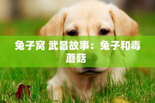 兔子窩 武昌故事：兔子和毒蘑菇 