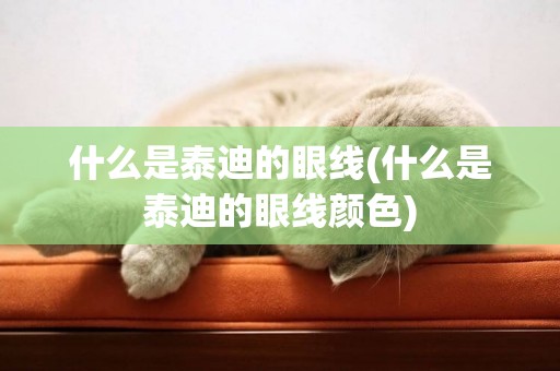 什么是泰迪的眼線(什么是泰迪的眼線顏色)