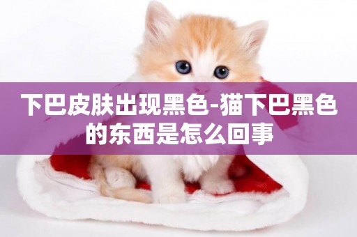 下巴皮膚出現黑色-貓下巴黑色的東西是怎么回事