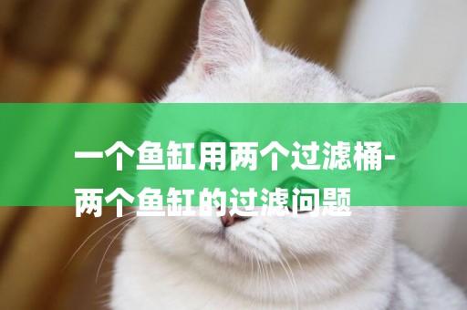 一個魚缸用兩個過濾桶-
兩個魚缸的過濾問題