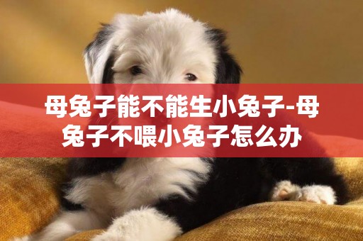母兔子能不能生小兔子-母兔子不喂小兔子怎么辦
