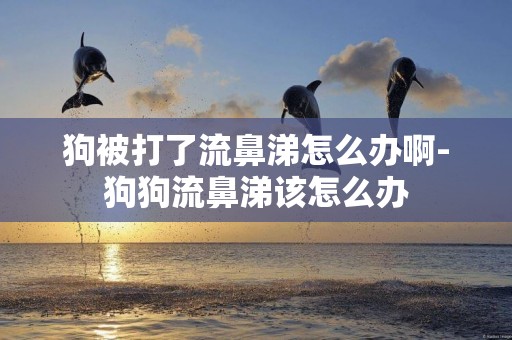 狗被打了流鼻涕怎么辦啊-狗狗流鼻涕該怎么辦