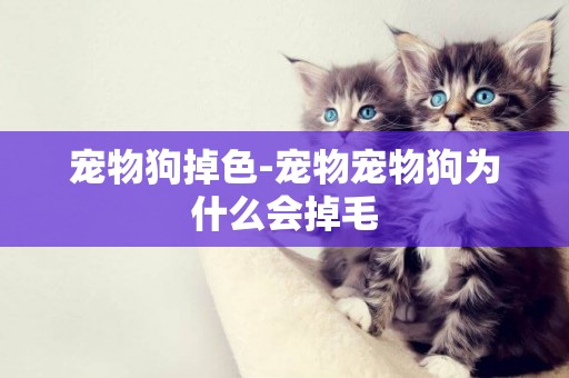 寵物狗掉色-寵物寵物狗為什么會掉毛