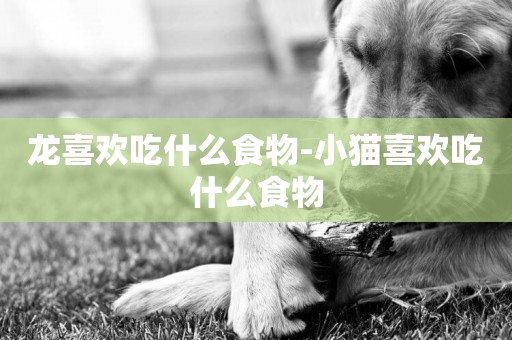 龍喜歡吃什么食物-小貓喜歡吃什么食物