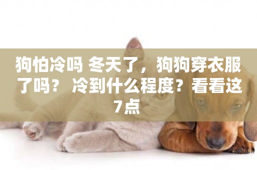 狗怕冷嗎 冬天了，狗狗穿衣服了嗎？ 冷到什么程度？看看這7點 