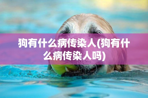 狗有什么病傳染人(狗有什么病傳染人嗎)