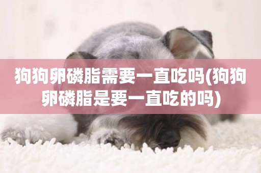狗狗卵磷脂需要一直吃嗎(狗狗卵磷脂是要一直吃的嗎)