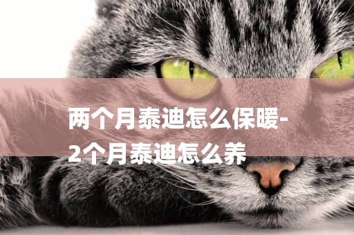 兩個月泰迪怎么保暖-
2個月泰迪怎么養