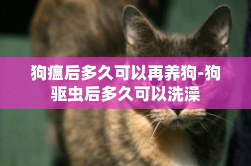 狗瘟后多久可以再養狗-狗驅蟲后多久可以洗澡