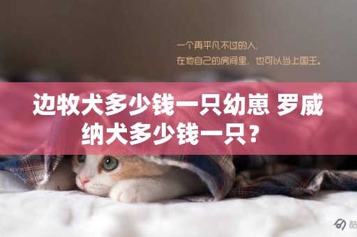 邊牧犬多少錢一只幼崽 羅威納犬多少錢一只？ 