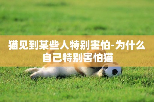 貓見到某些人特別害怕-為什么自己特別害怕貓