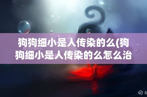 狗狗細小是人傳染的么(狗狗細小是人傳染的么怎么治療)
