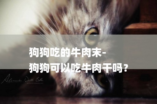 狗狗吃的牛肉末-
狗狗可以吃牛肉干嗎？