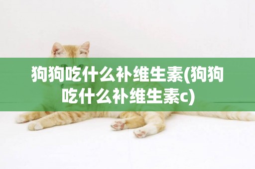 狗狗吃什么補維生素(狗狗吃什么補維生素c)